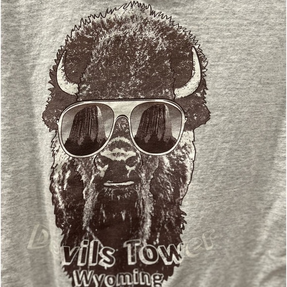 Port and Company Other - Devil’s Tower Wyoming t-shirt size medium in GUC